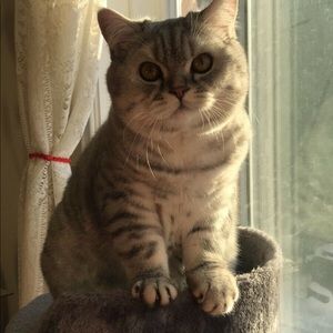 Meet your Posher, Annie